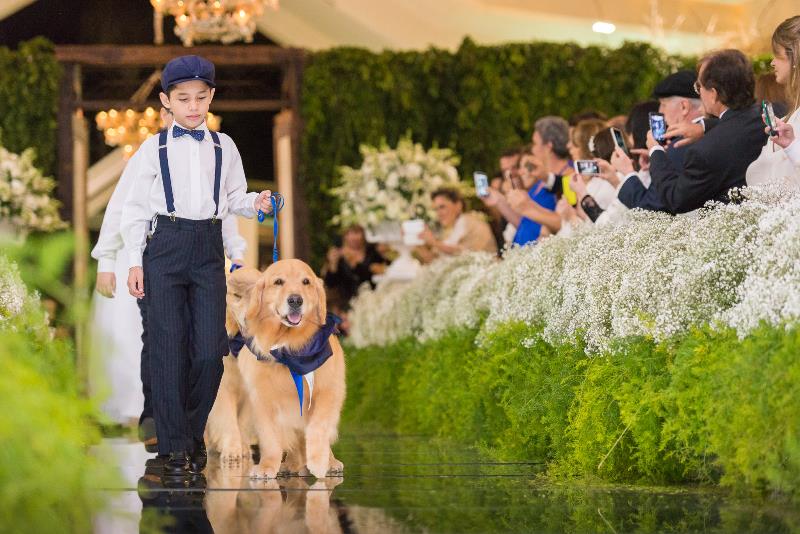 cachorros na cerimonia cachorro casamento